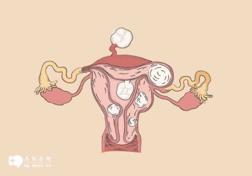 排卵有障碍还能生孩子吗,引起的原因看这里